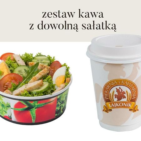 Da Vinci Apartment Krakow Dış mekan fotoğraf